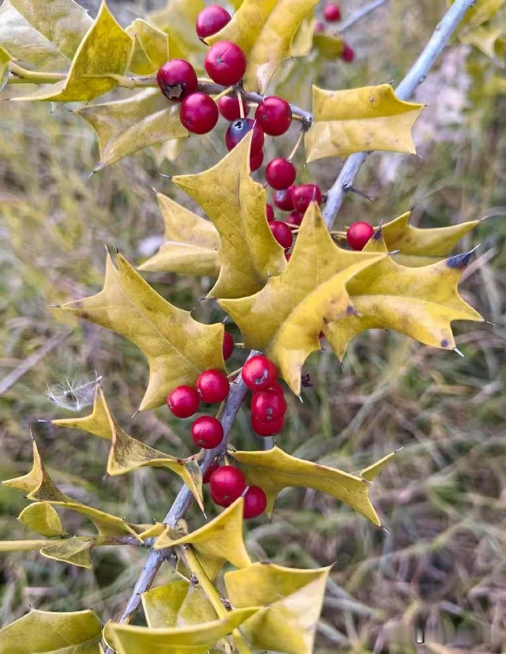 沿途的风景，得靠“有心”才能邂逅并欣赏！人生的路上也是如此！