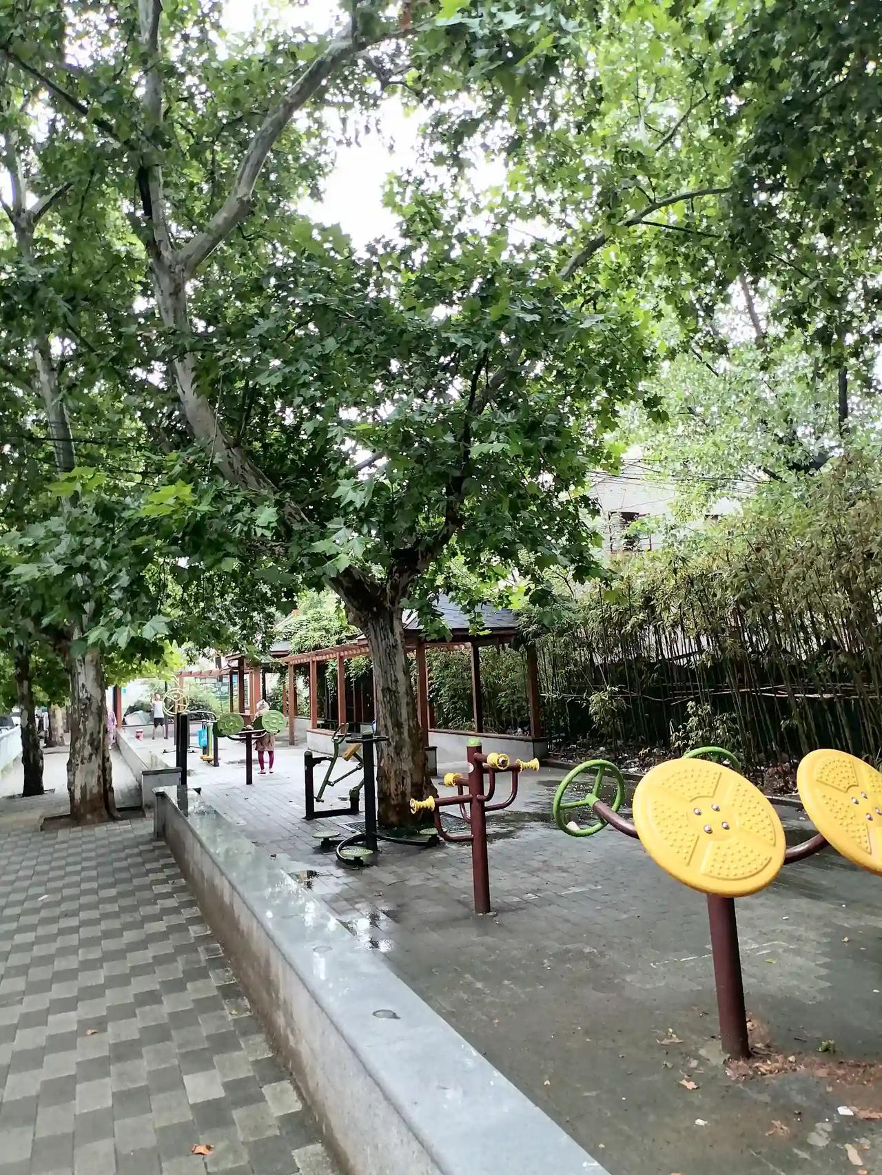 没有物业，小区也能很干净！垃圾都是市政统一运走，业主每年只交120元/年，这样的