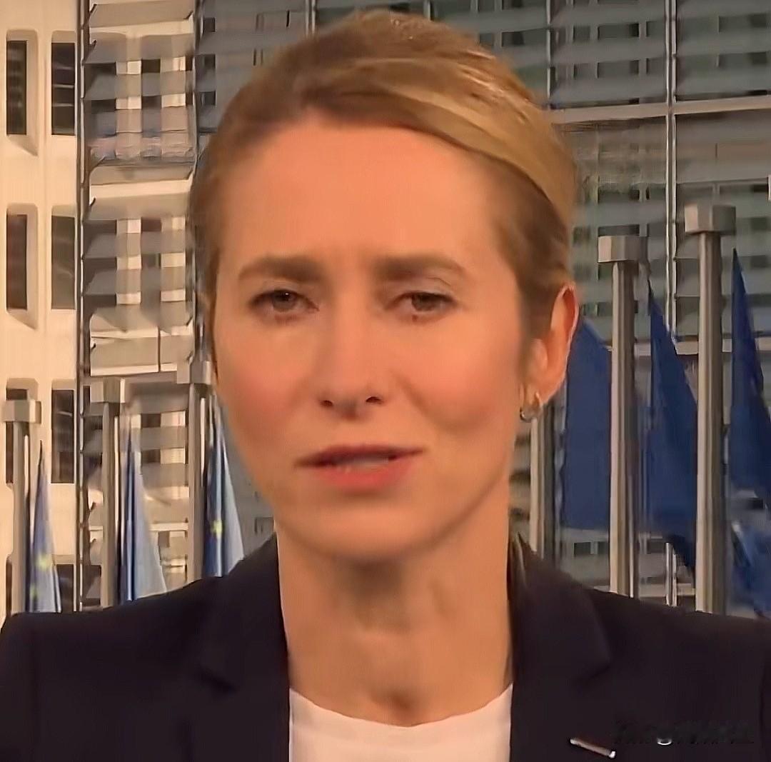 接受BBC采访时声称:“俄罗斯绝对不可能重返G7。”

卡拉斯:“他们（俄罗斯）