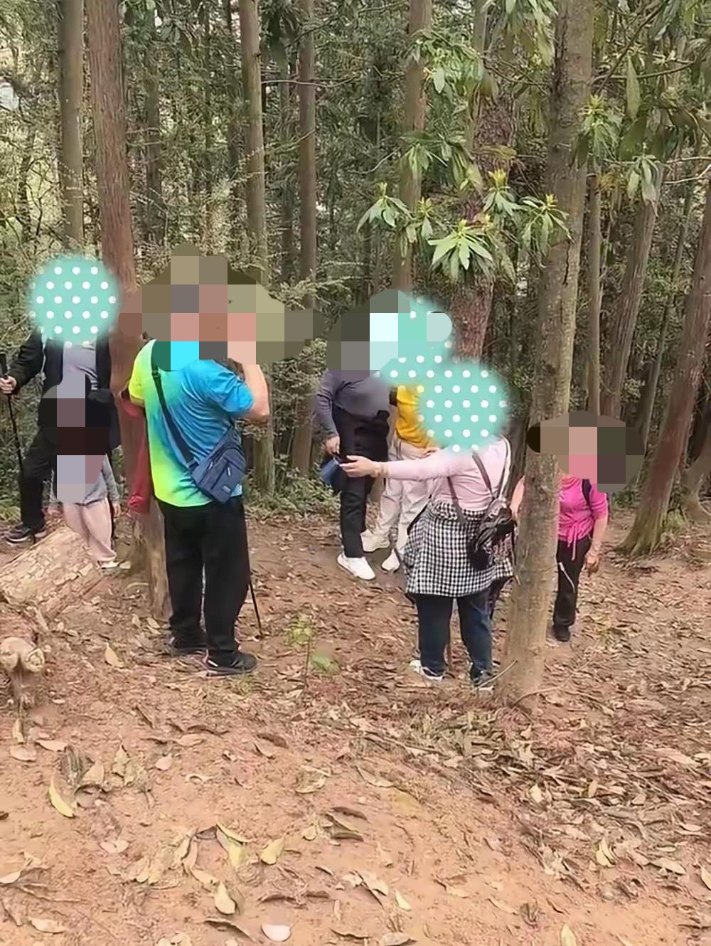 几名老人徒步去爬南昌老四坡，爬到半山腰时，一老太太体力不支，靠在树干上大口大口喘