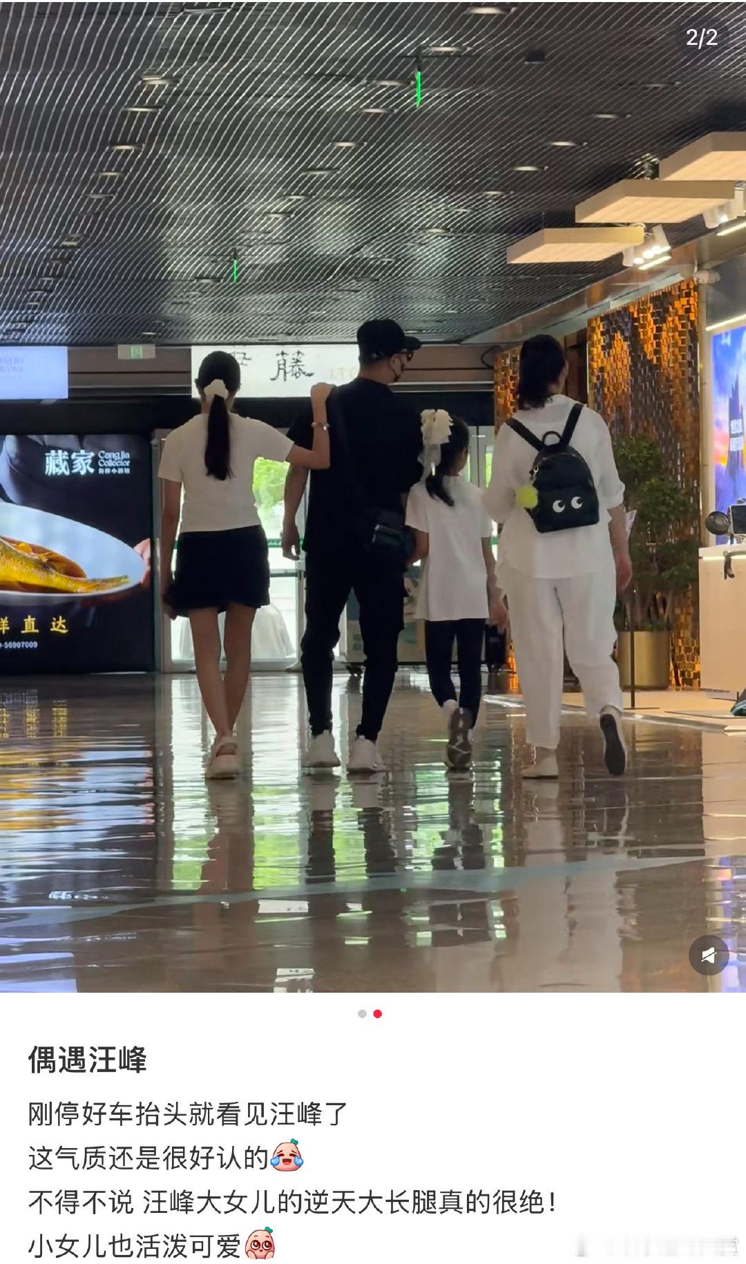 偶遇汪峰和女儿逛商场 商场偶遇汪峰和两个女儿，还带了保姆出门？商场偶遇汪峰和两个