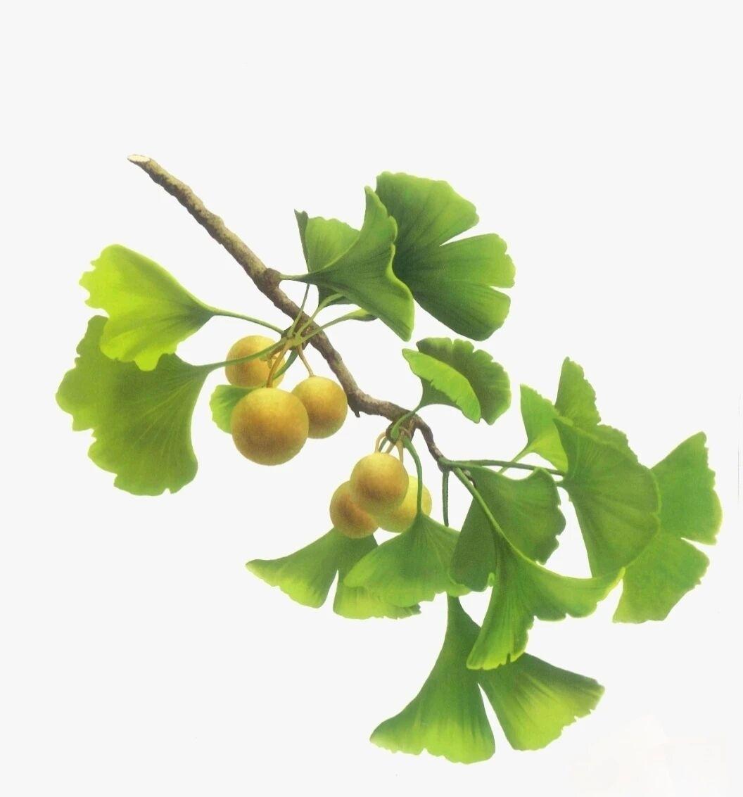 你觉得孩子有哪些爱好值得从小培养我认为孩子最应该培养的爱好就是学会运动跑步爬山。