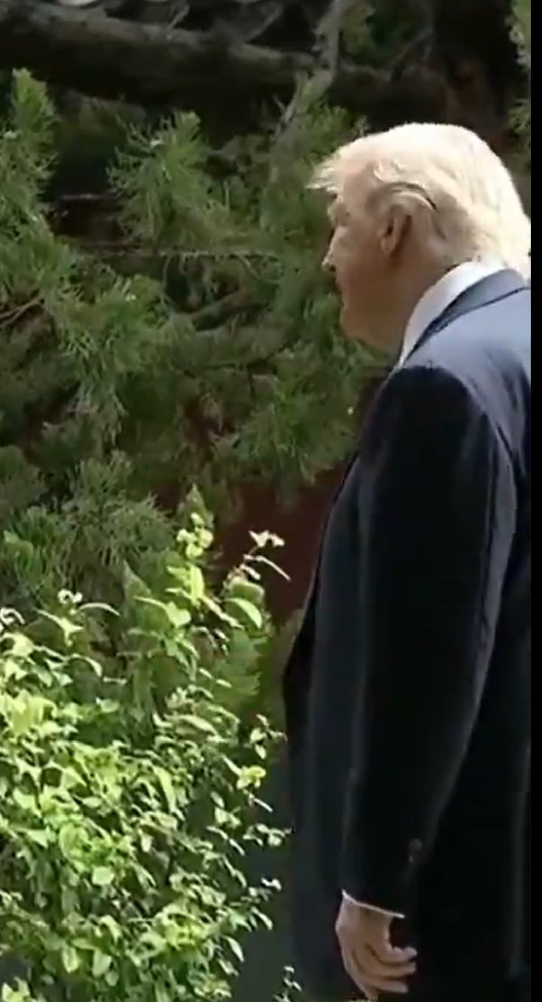 懂王问：其他国家的总理或总统来访，你们会在这里接待他们吗？热点观点特朗普结束访华