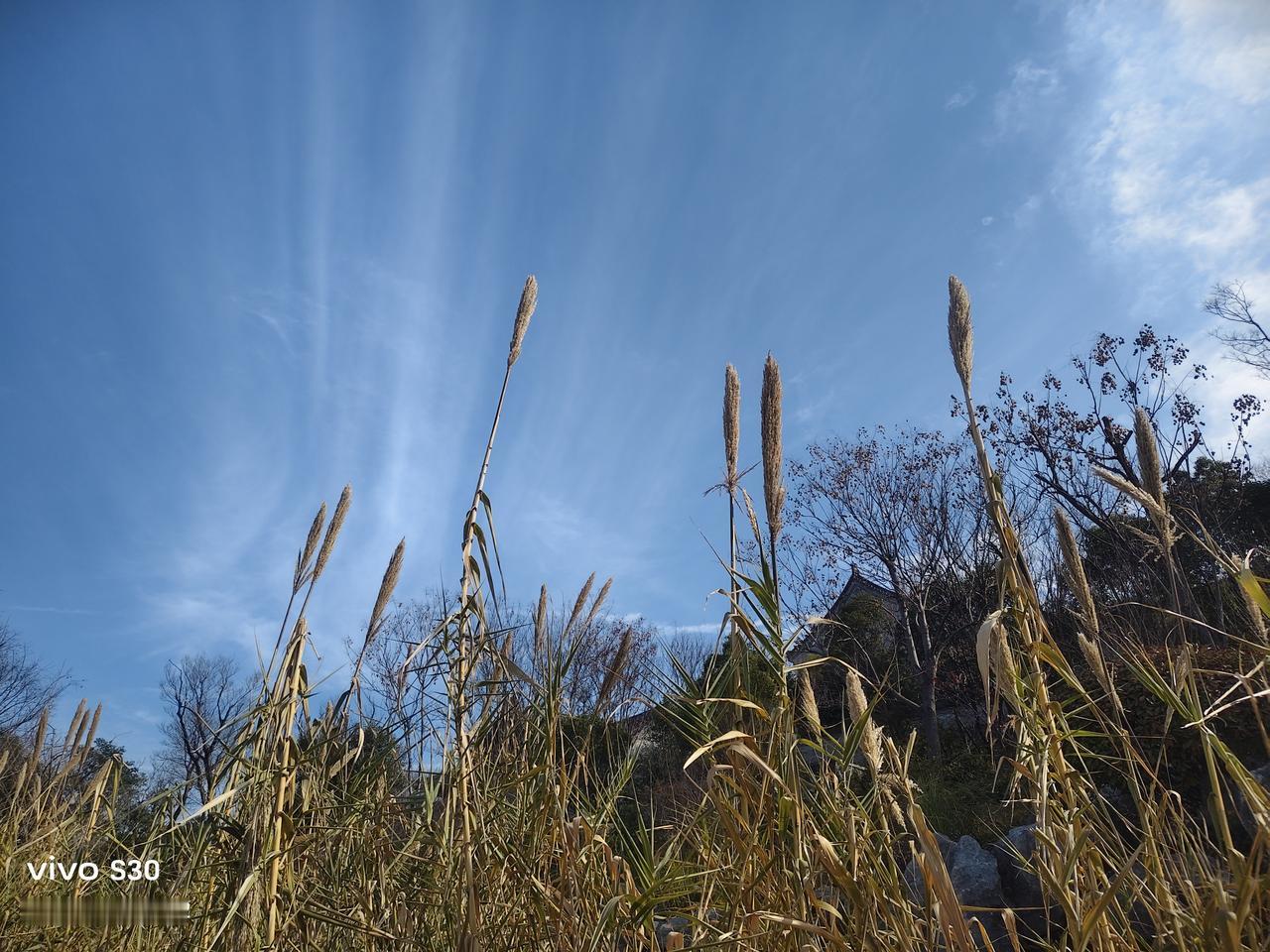 诸葛亮一生最大的理想，那必然是兴复汉室。他在隆中时就心怀天下，自比管仲、乐毅，一