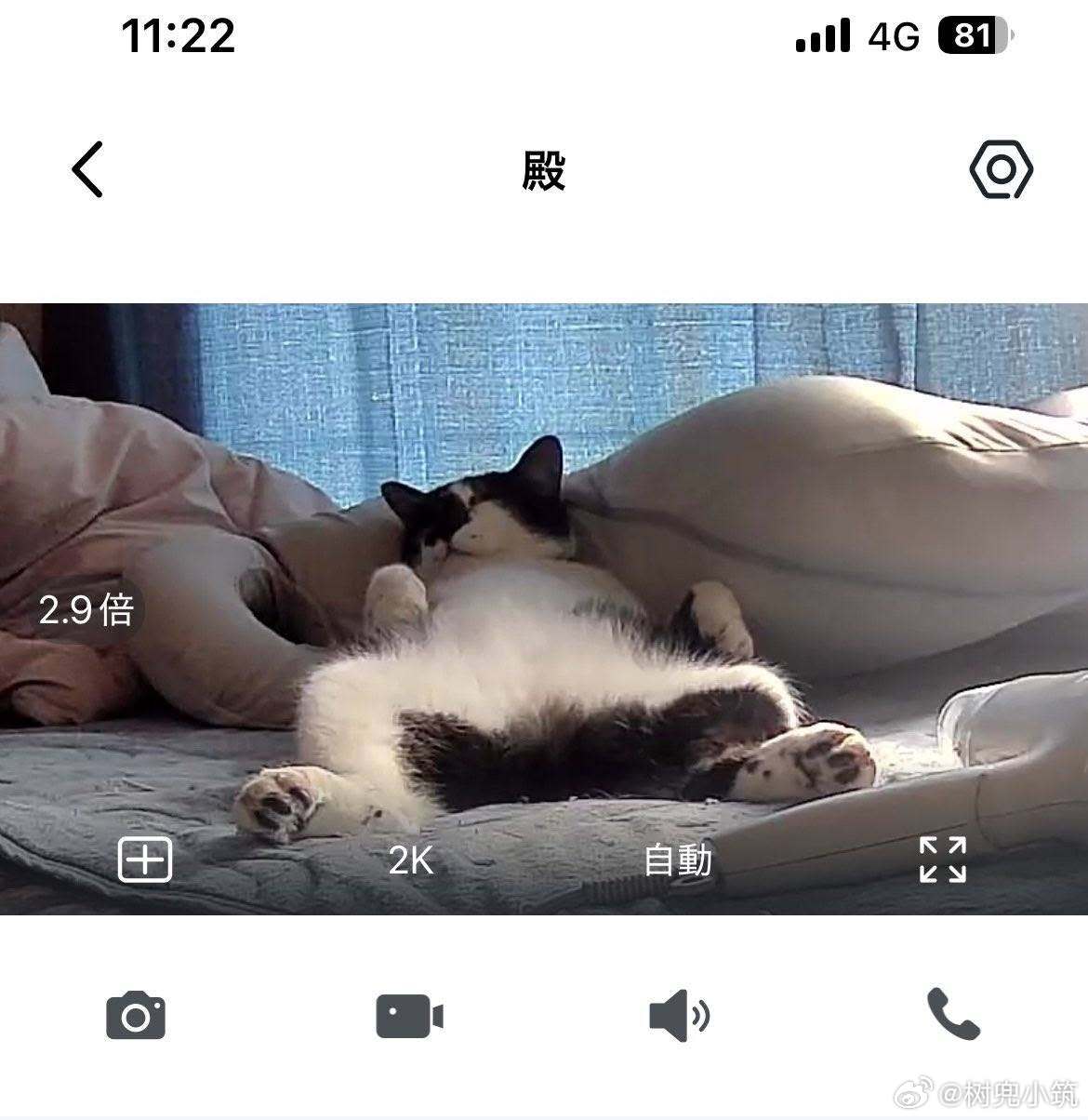 【 猫咪正在做什么？打开宠物摄影机一看 】 ​​​