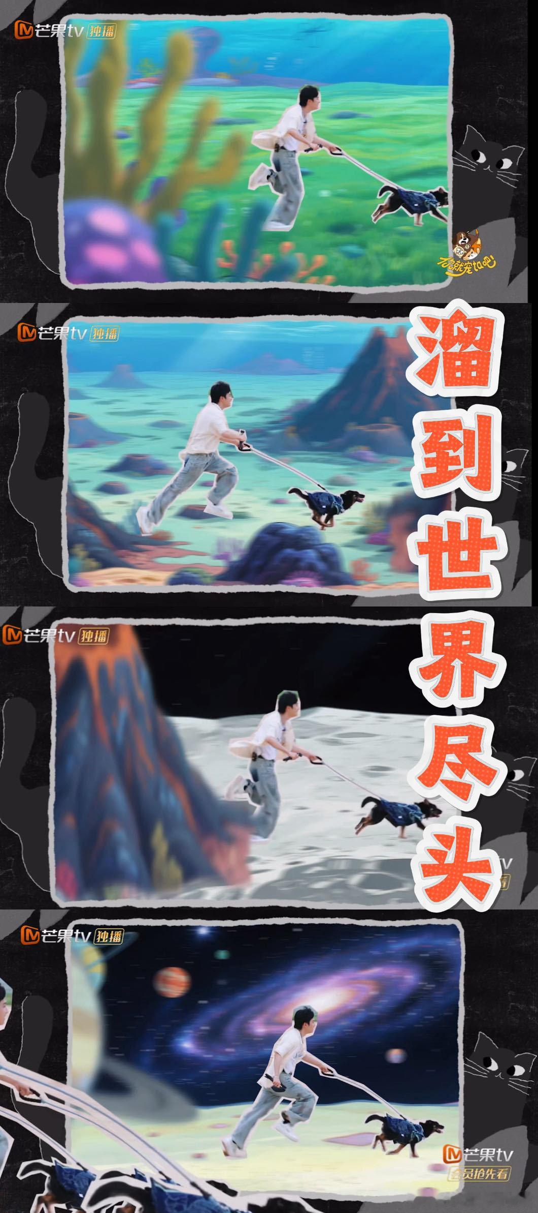 敖子逸没人告诉我遛小狗这么累本以为遛小狗应该是一件挺轻松愉快的活，谁知道真正遇上