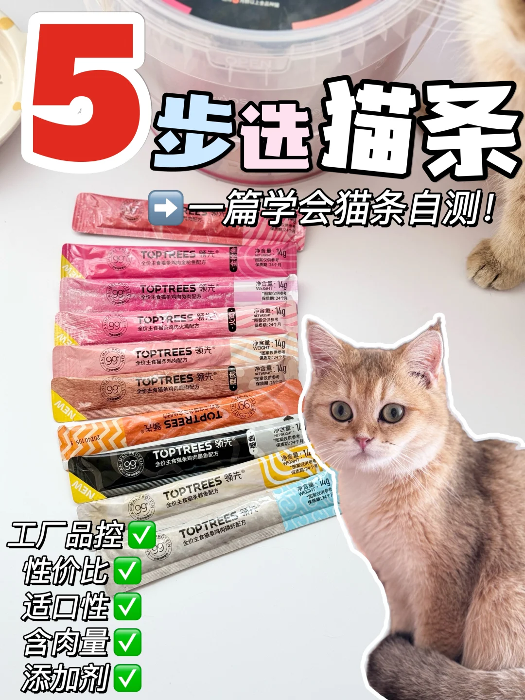 不会选猫条⁉️get这5步轻松自测好猫条✅