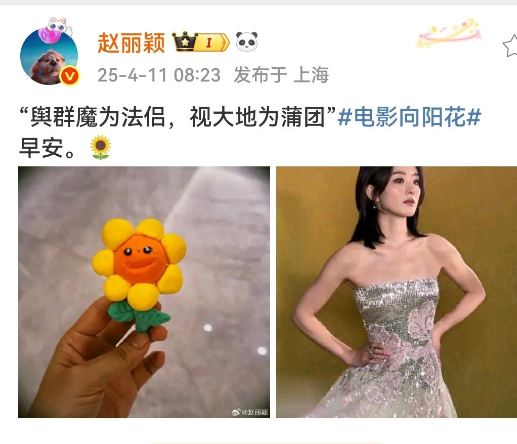 电影向阳花