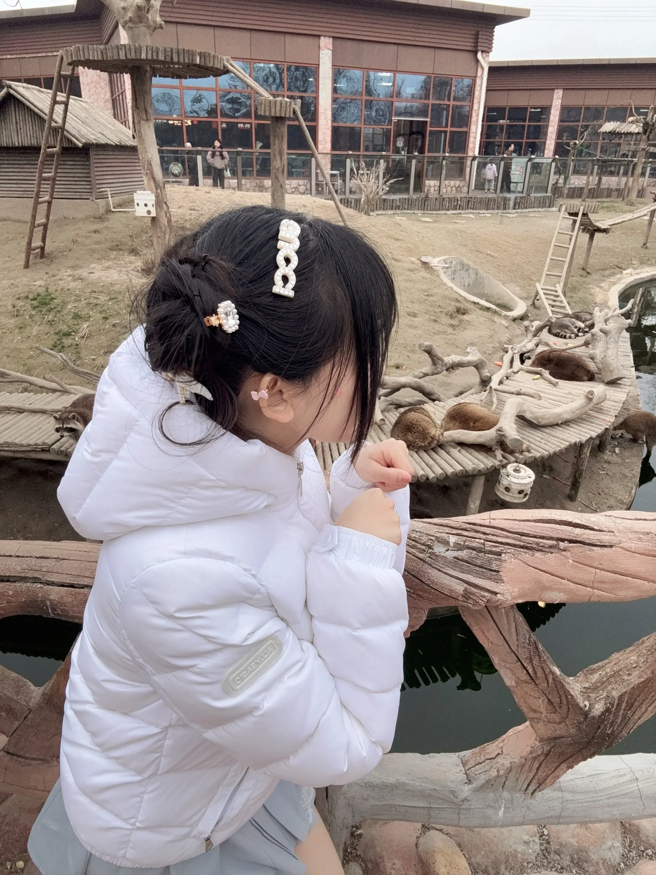 🐾𝒁𝑶𝑶 动物园游记 🦩🐇🦢🦙🐑🦝🦓🦭🐅🐆...