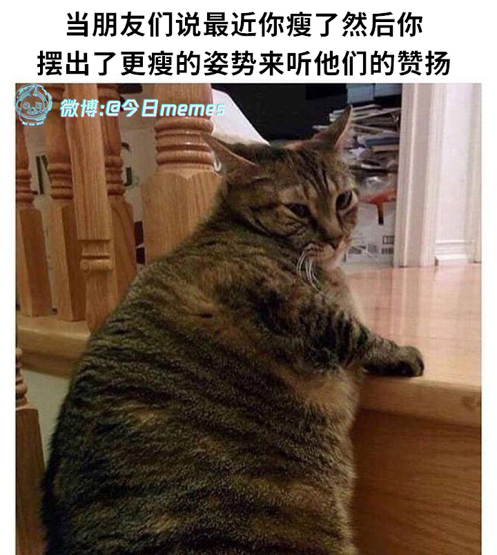 哼~（9gag）今日meme[超话] 今日memes ​​​