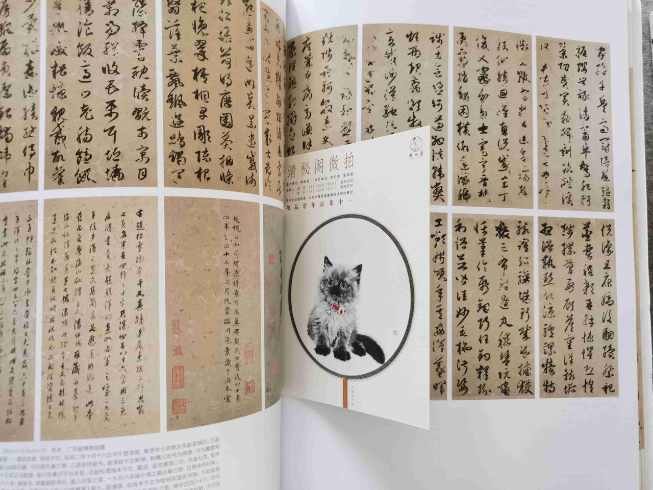 我的今日状态：💰期待暴富
我这里的天气：🌈雨过天晴