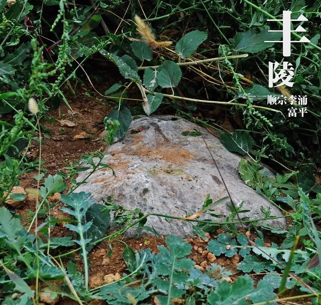 唐十八陵现存陵前石刻最少的两座帝陵是顺宗丰陵：只余半截裂缝贯通到底部的...