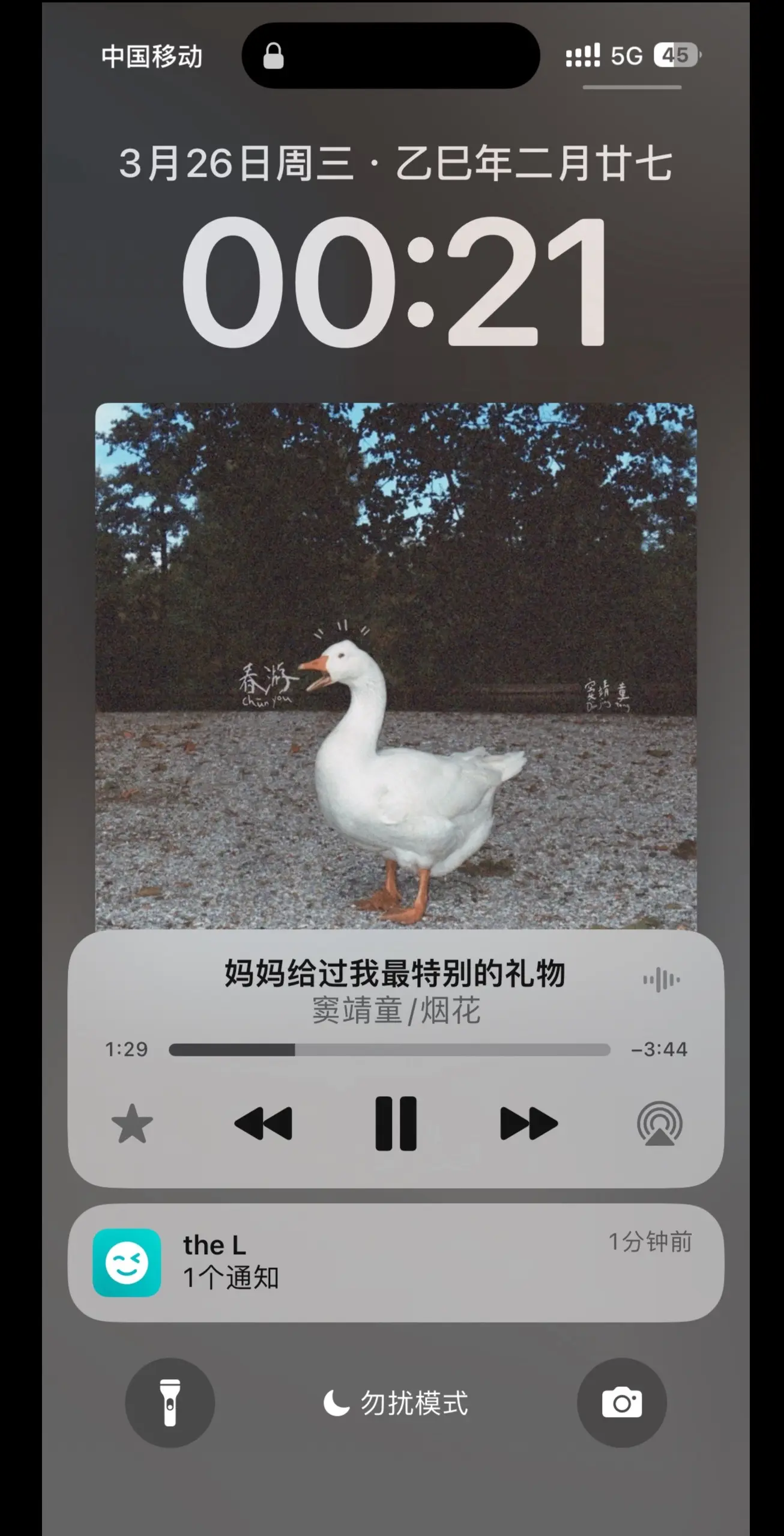 妈妈给过我最特别的礼物，是教会我怎么欣赏一道彩虹王菲女儿
