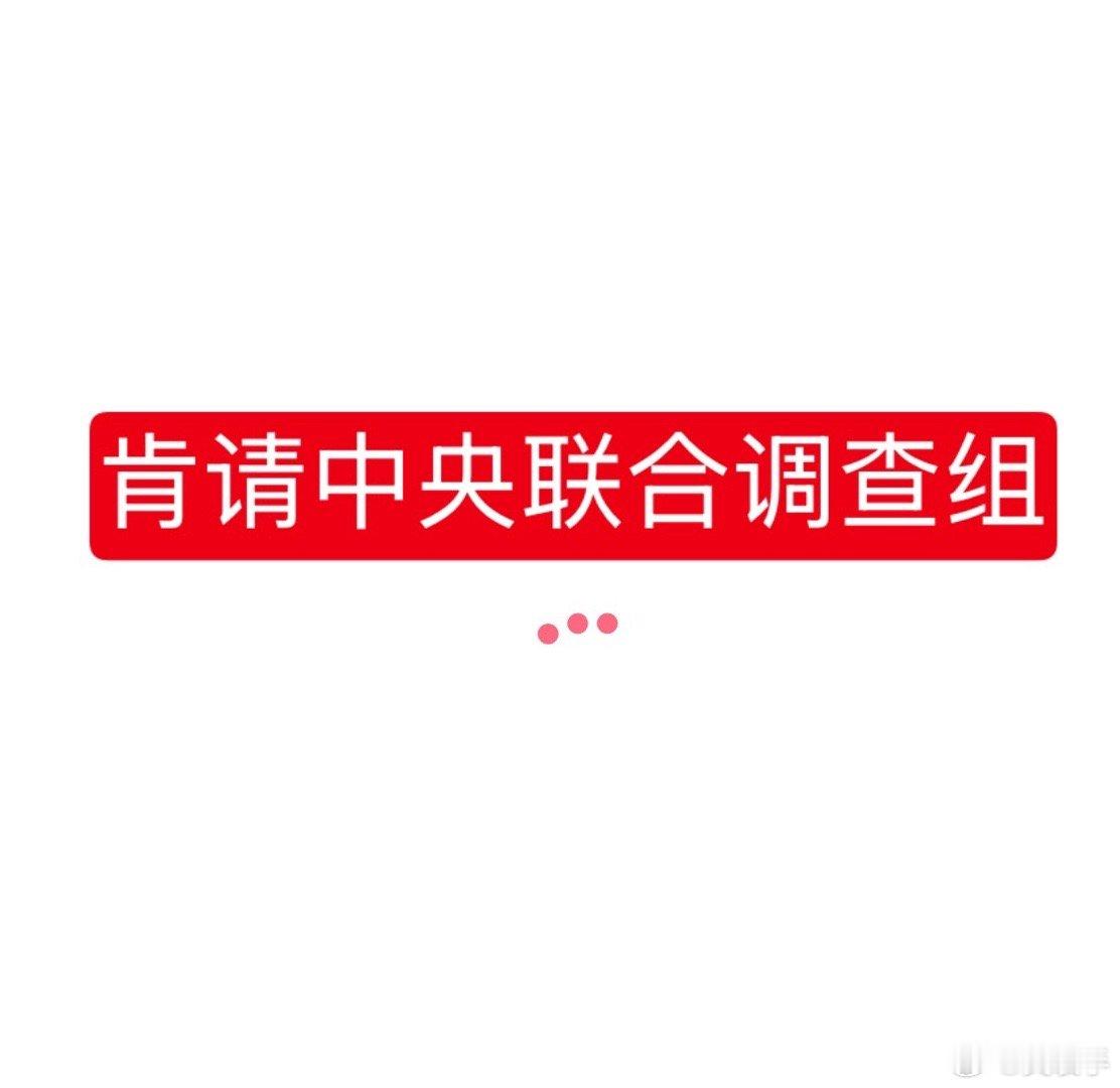 罗帅宇 1119页文件肯请中央联合调查组来调查这个事件，这个事件让社会各界都感到