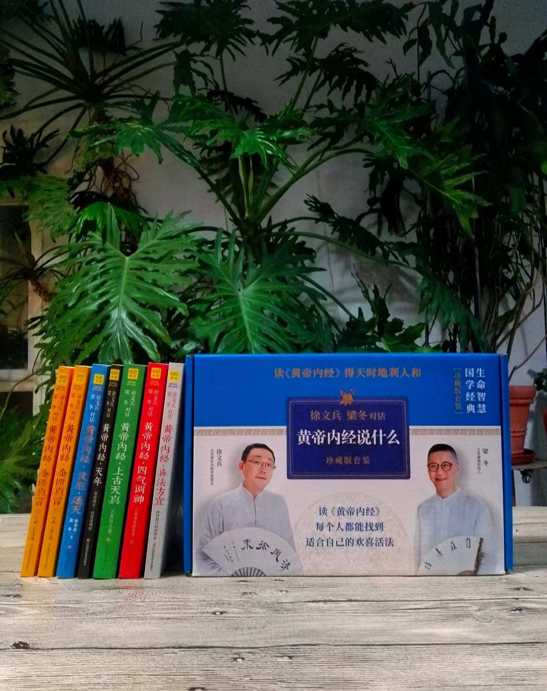 孙俪想读的《黄帝内经》到底在讲什么❓