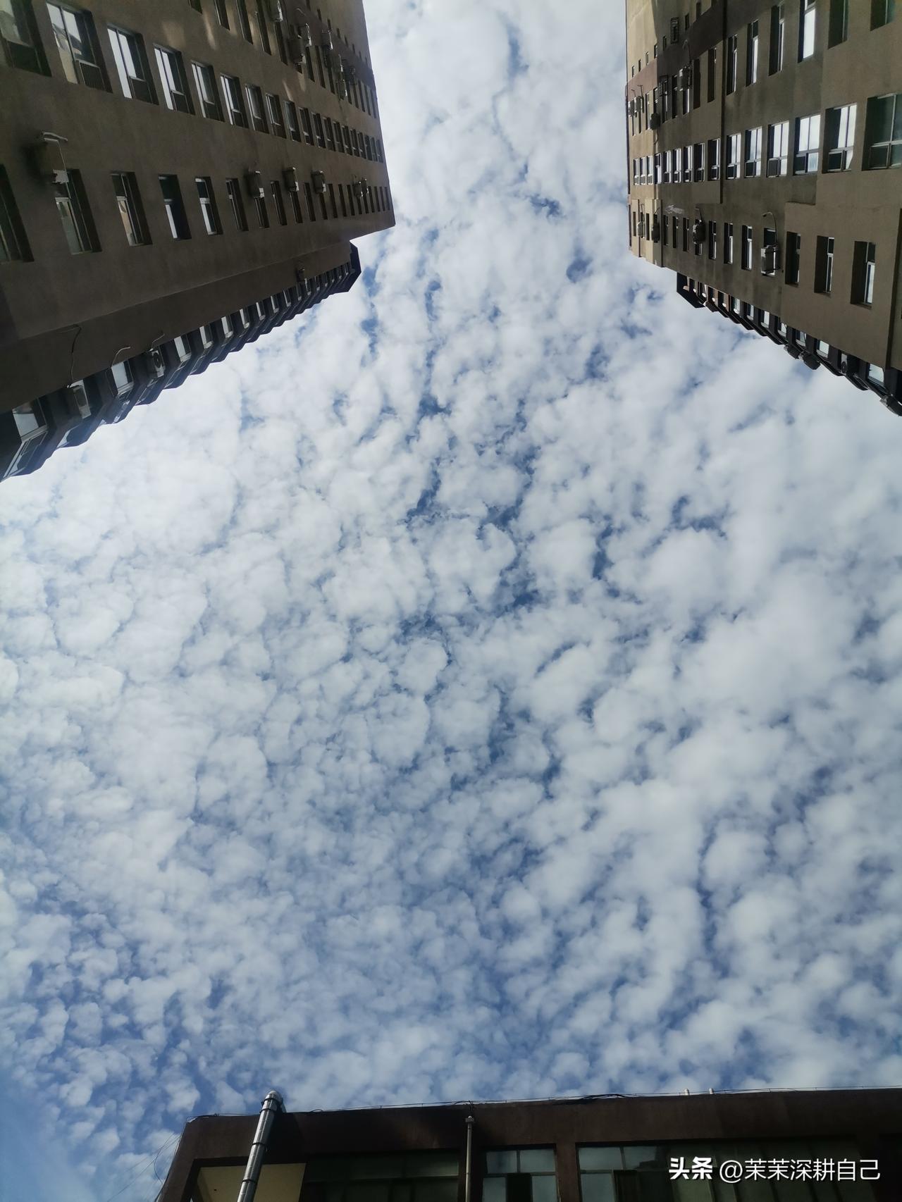 一个超级实在的建议：写作，尽量少用形容词，多用名词、动词。

形容词，像满头戴花