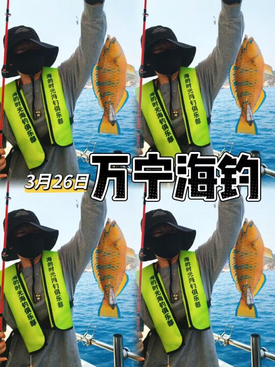 可爱漂亮大青衣🐟
