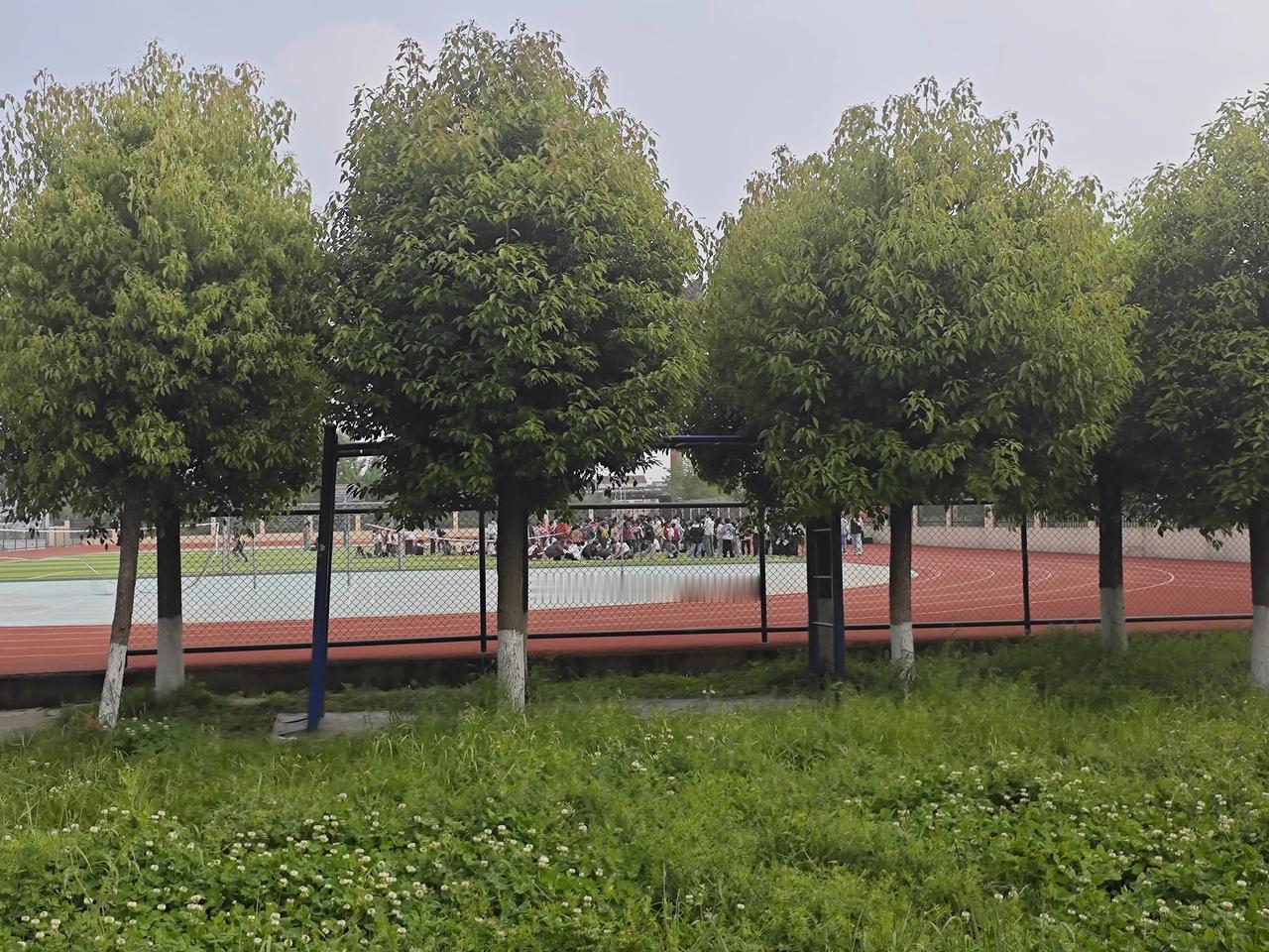 教你一个应对“吹毛求疵型”家长的必杀技——反向咨询技术
将家长从“审判者”变为“