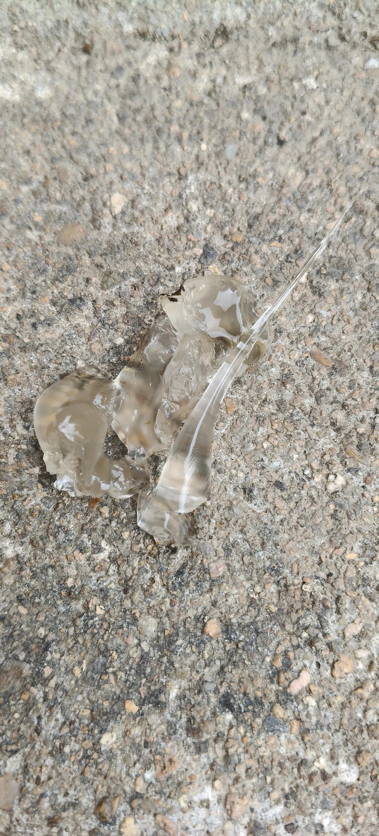 有人知道这是什么吗？