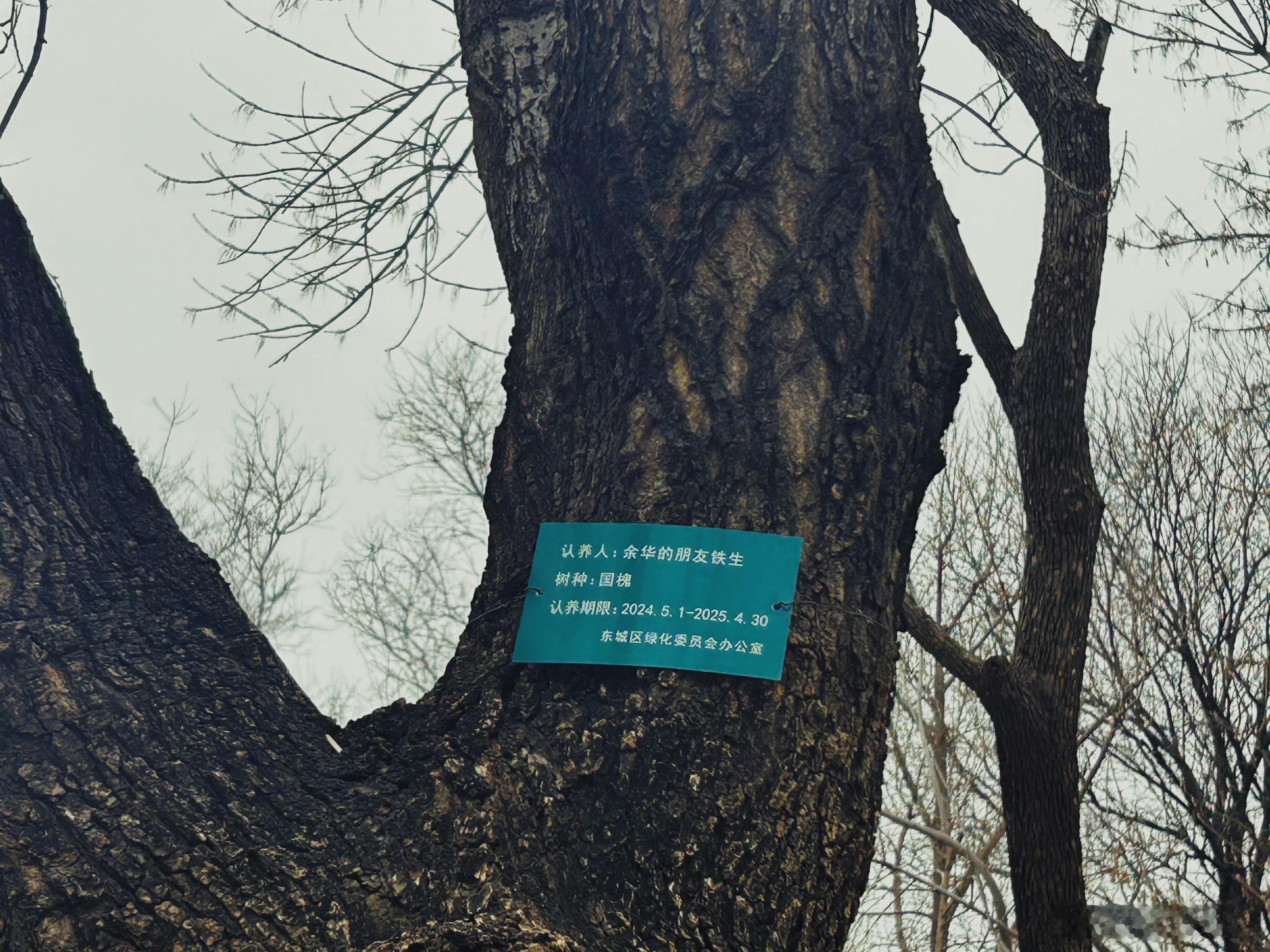 四上寒假生活记录📝✅语文：观看课文纪录片、书写生字、完成仿写小练笔（懒孩子不想