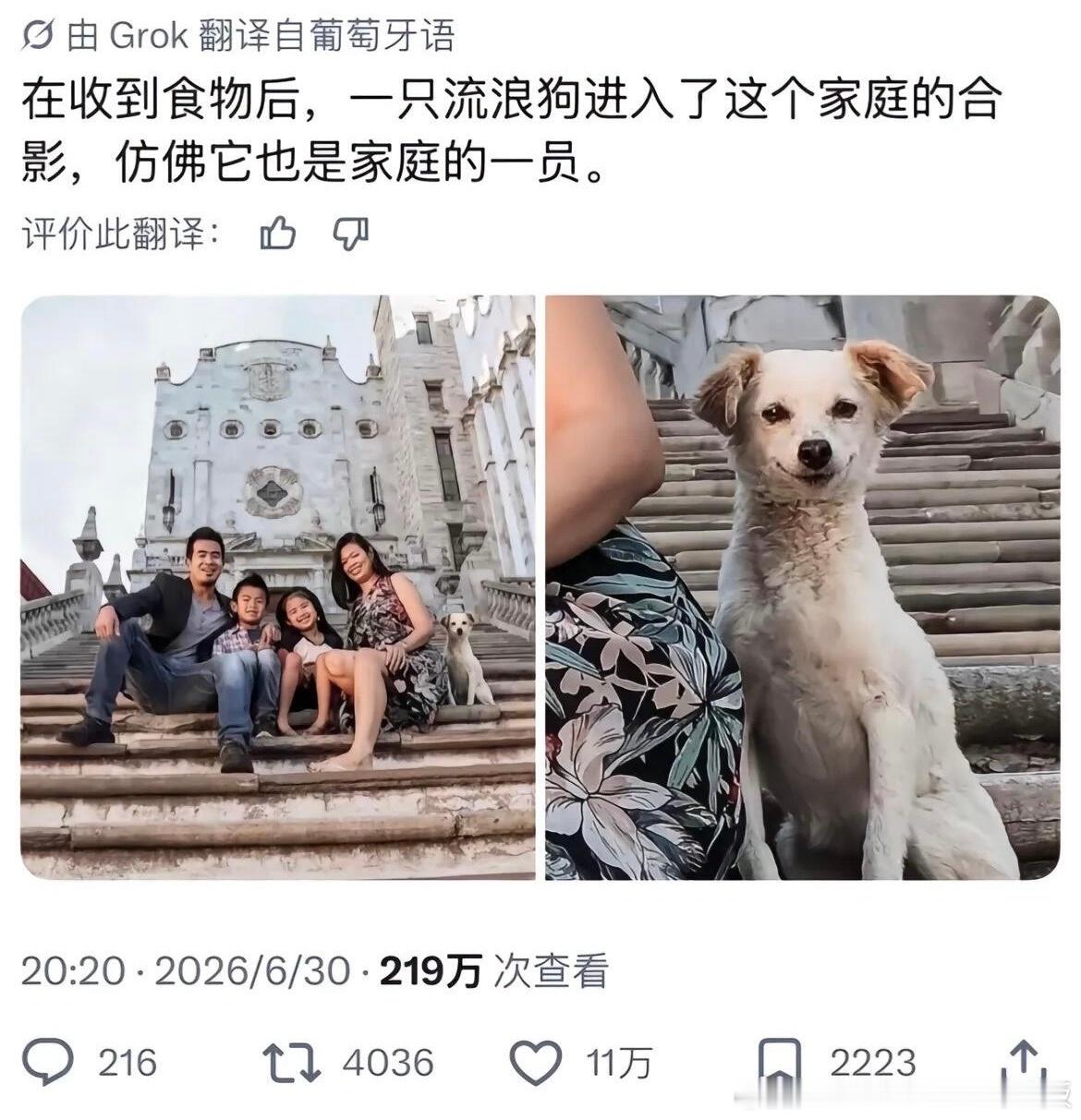 我上网就是为了看这个的 