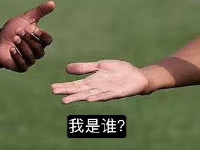 分享图片 