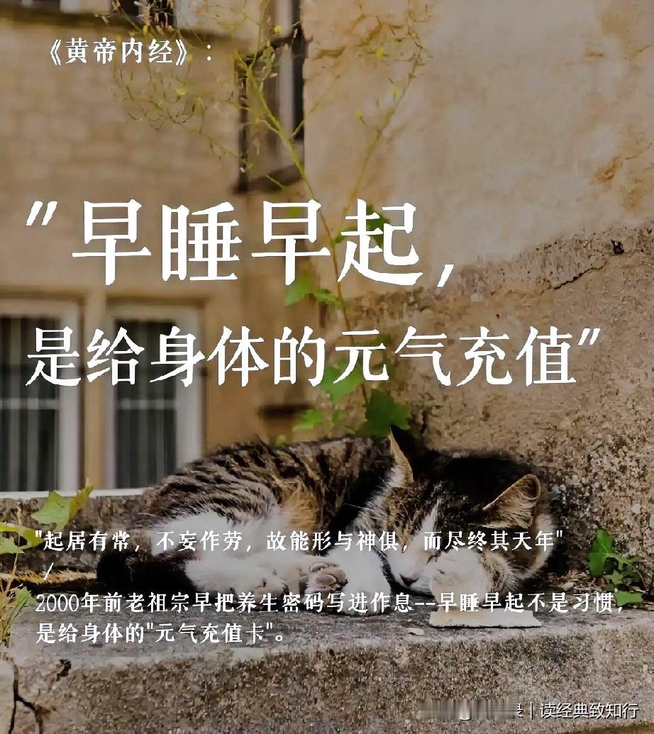 早睡早起，顺应自然节律；
起居有常，滋养身心本源。
不熬夜耗神，不慵懒虚度，
借