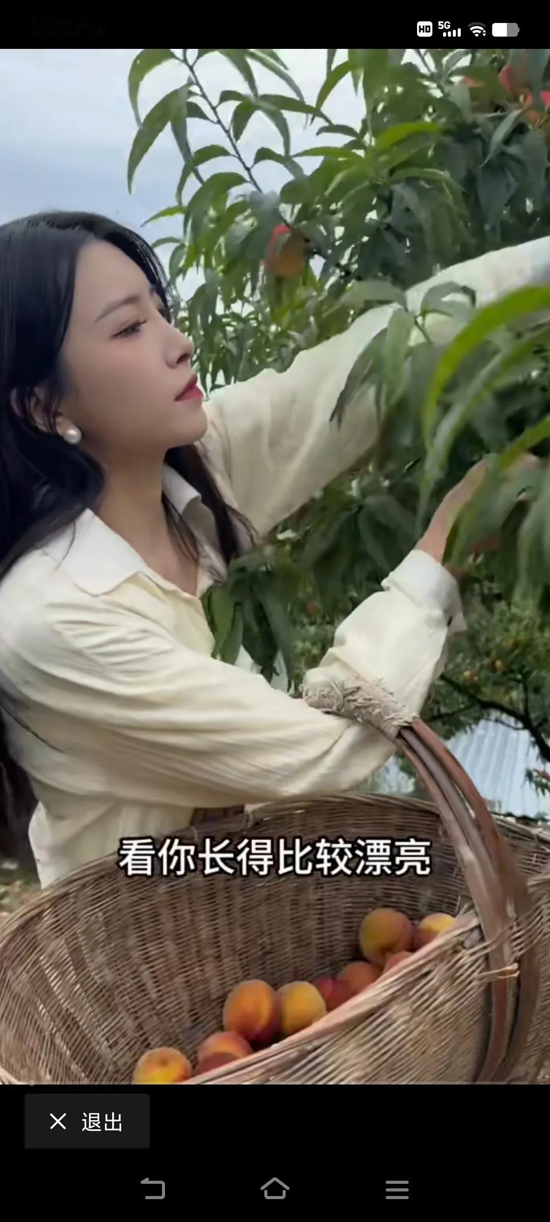 #一张图证明秋天来了#果树下采摘的女孩，仙桃甜蜜，人更美！#果园里的女孩# #秋