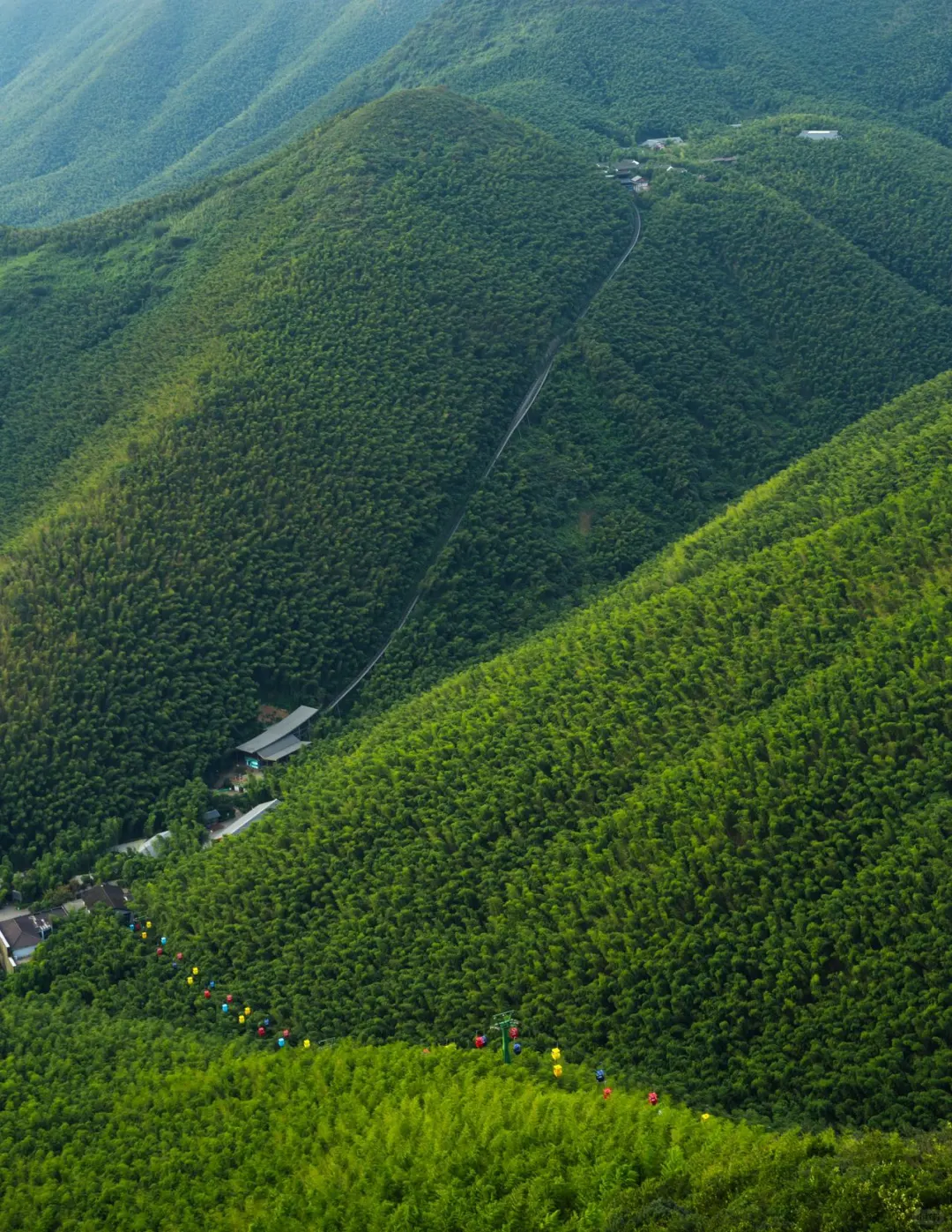 南山竹海免费开放！