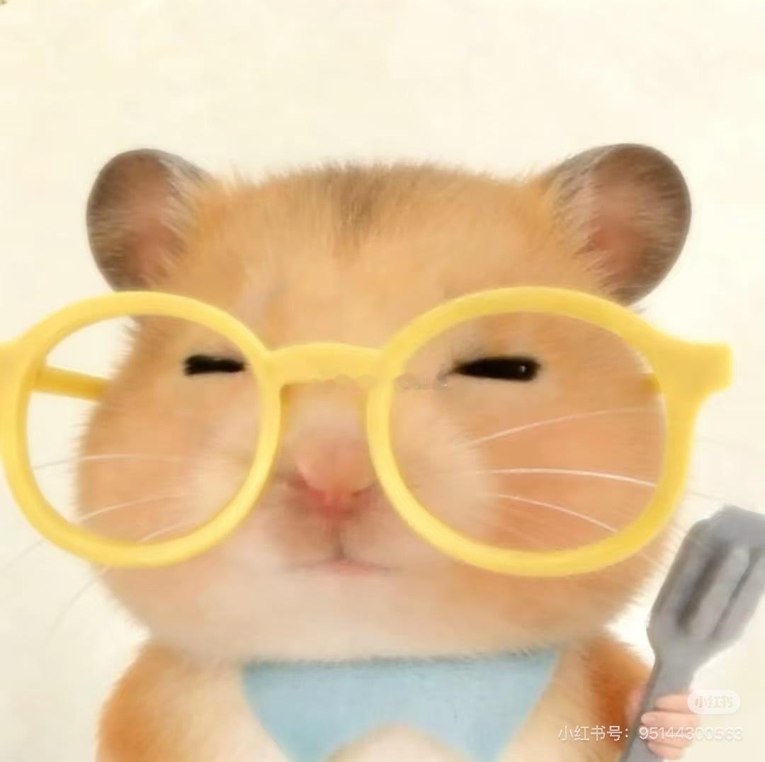 今天也是早起的一天一会继续补觉 