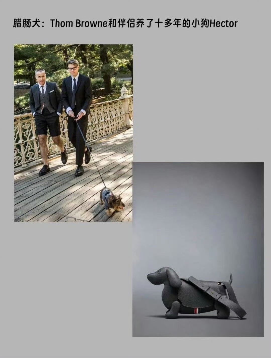 那啥其实也不是什么🐢🍬都吃的下的 二编见图3吃了嗦啰两口就当嗦丢尝尝味儿好吃
