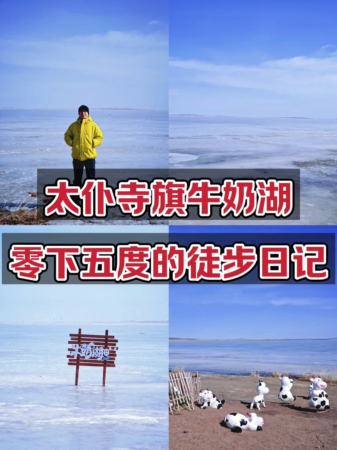 太仆寺旗牛奶湖：零下五度的徒步日记