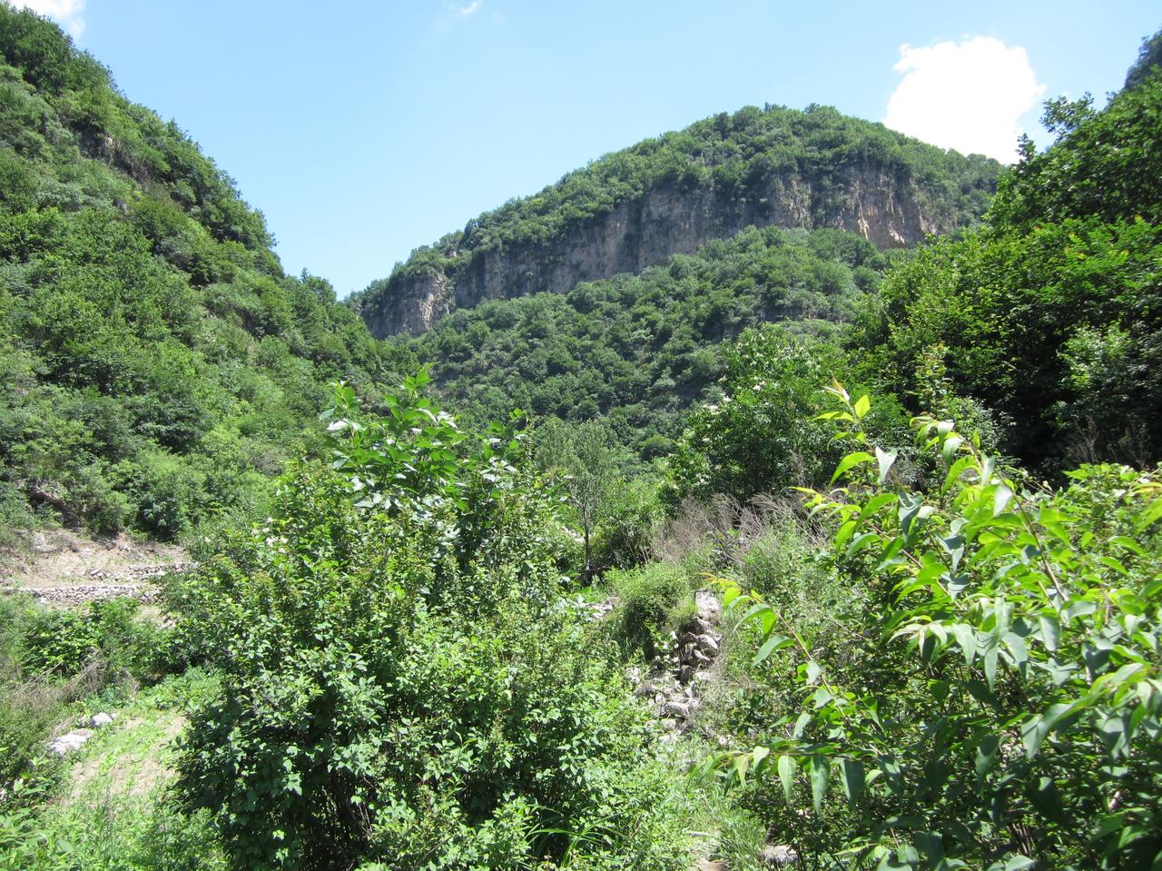 小以和小黎停火基本谈崩了，胡塞直接把小以在阿拉伯海的两艘船只击沉！有消息还表示，