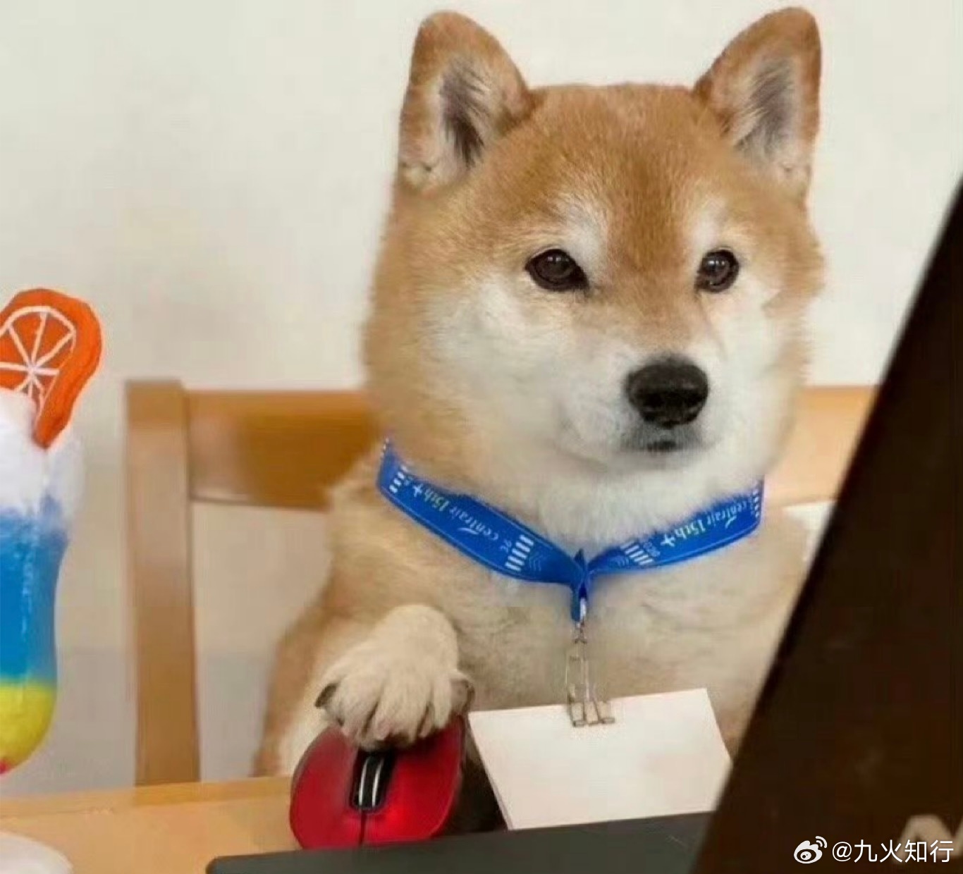 大家早！周末发生了大事，A股的股民只有在线等待事态进展，以此下周一好做决策！总体