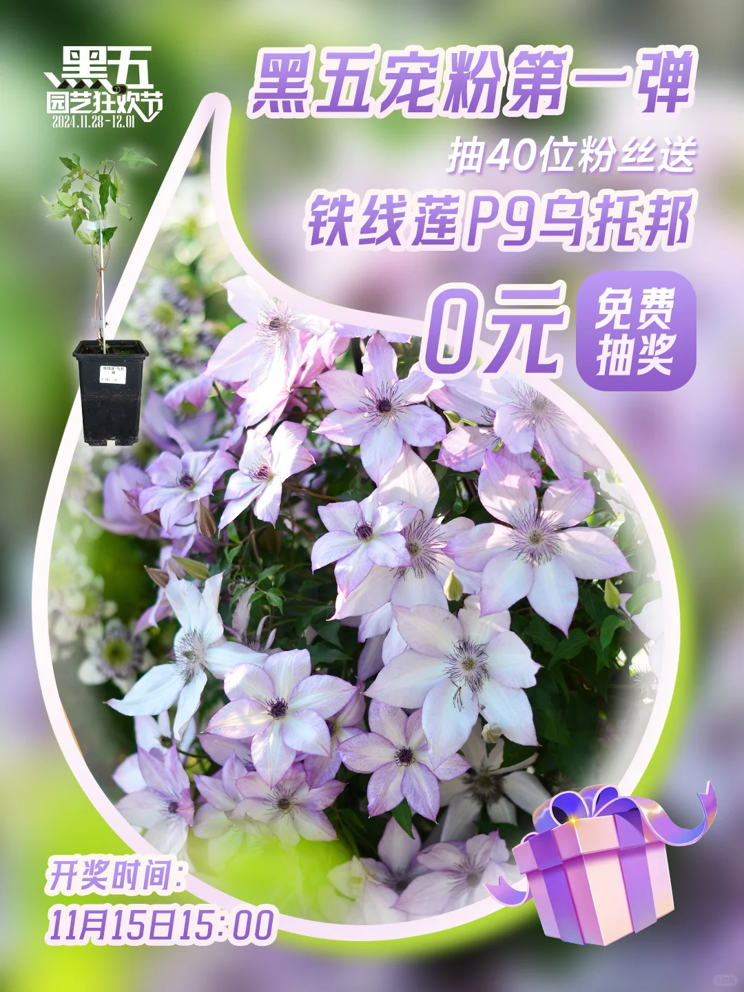 0元抽奖|助力黑五 铁线莲乌托邦免费送