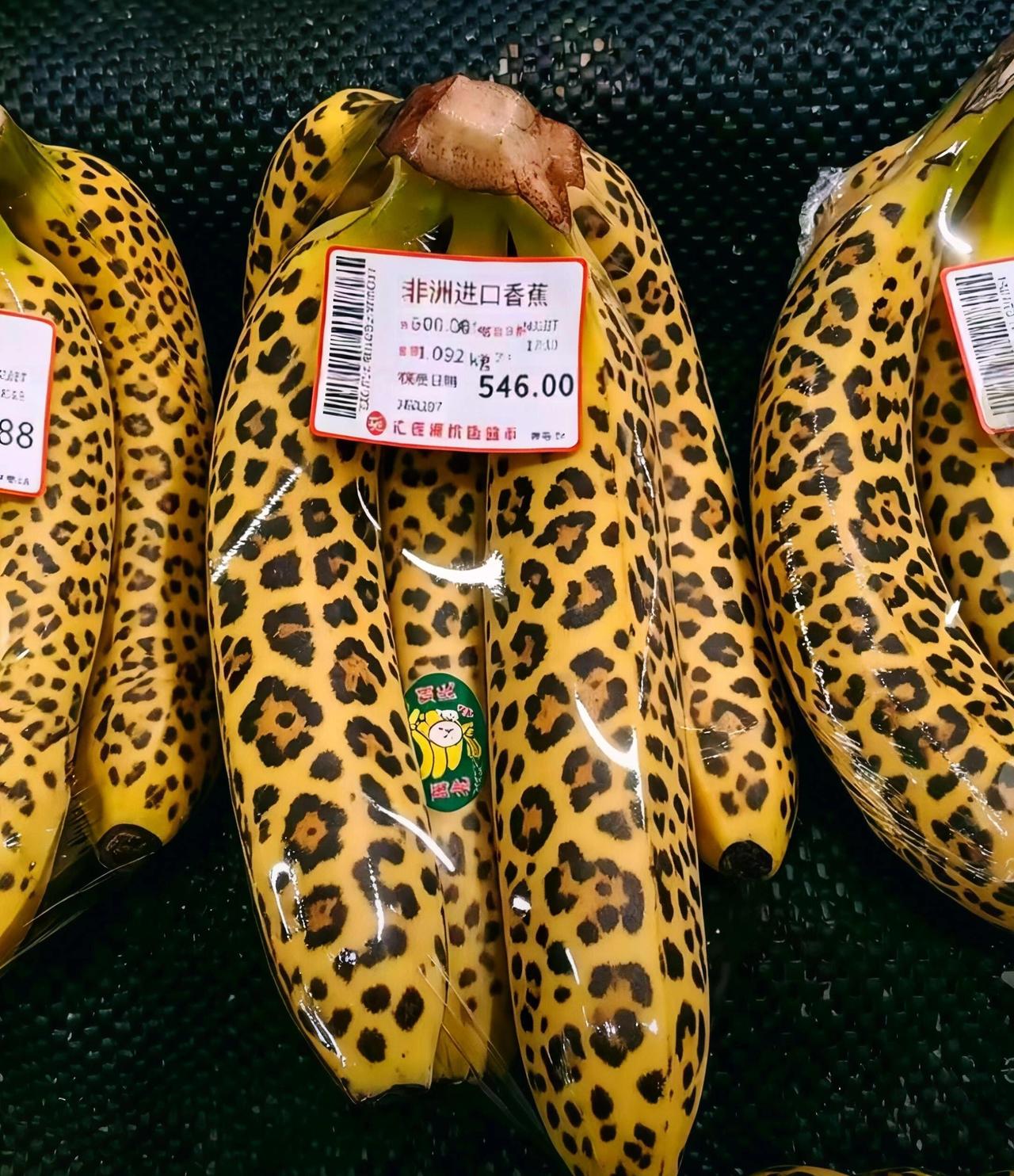 这是啥情况？有没有见过的？？？