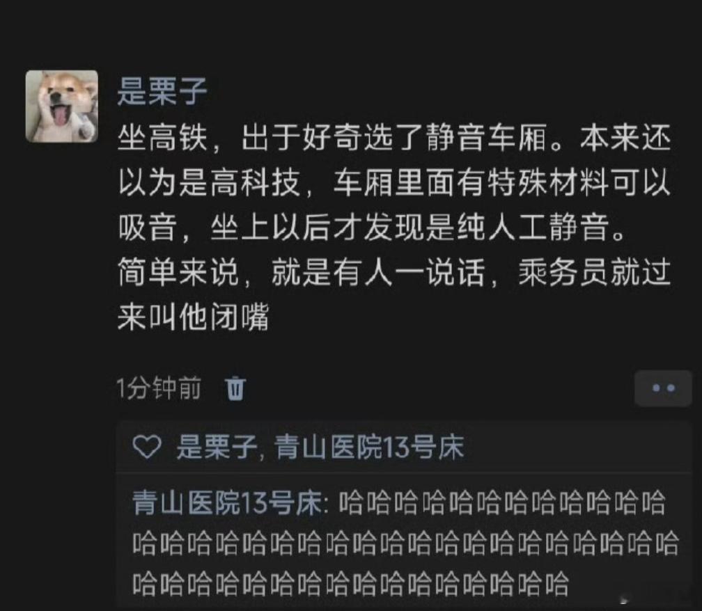 人肉闭麦也行，至少能在高铁上安安静静的坐高铁因为好奇选了静音车厢 ​​​