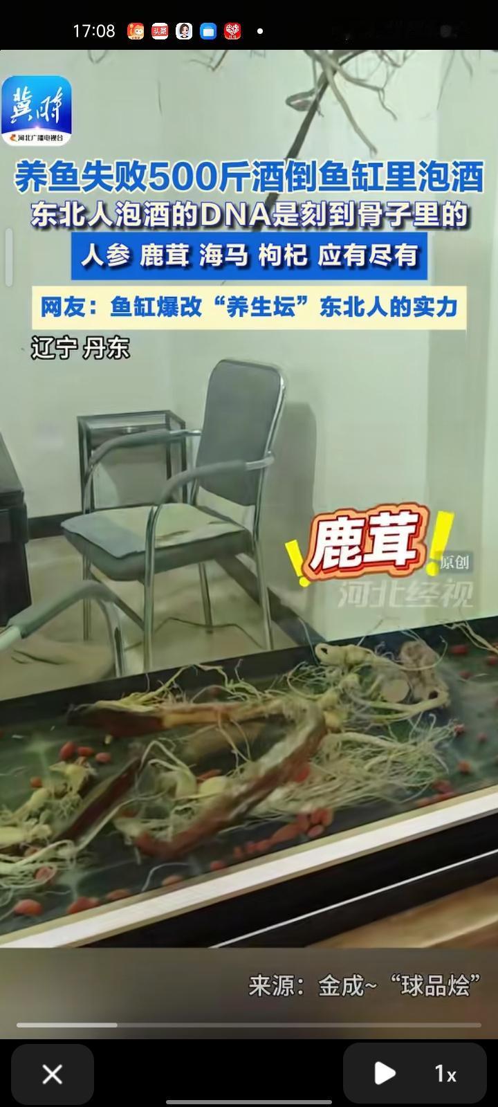 10月3日，丹东市宽甸县。东北人泡酒的DNA是刻在骨子里的，网友发视频称，养鱼失