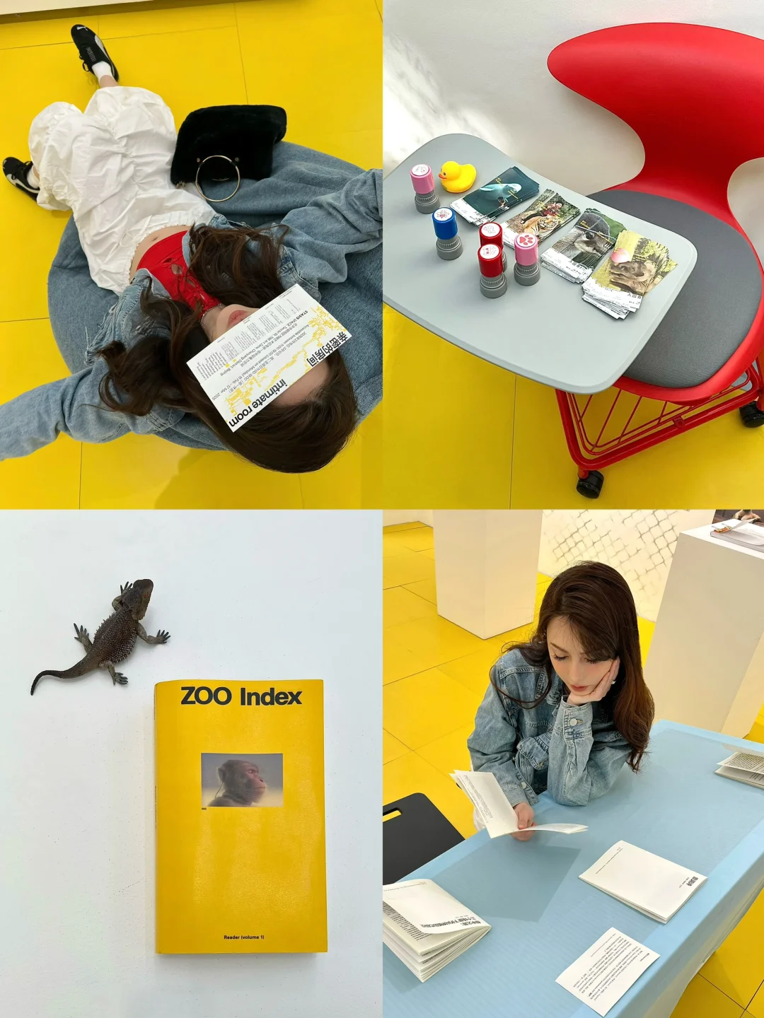 北京看展｜超小体动物园：“索引，亲密的房间”