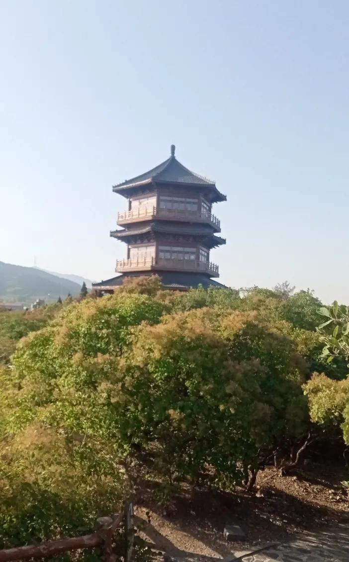 多数乡镇副职前途较为渺茫。通常下派到乡镇担任正职的，基本都是上级下来的主任、书记