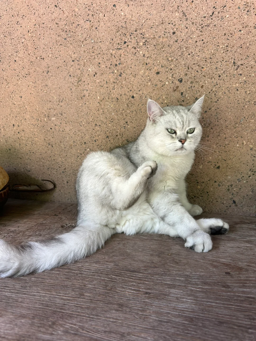 随手拍