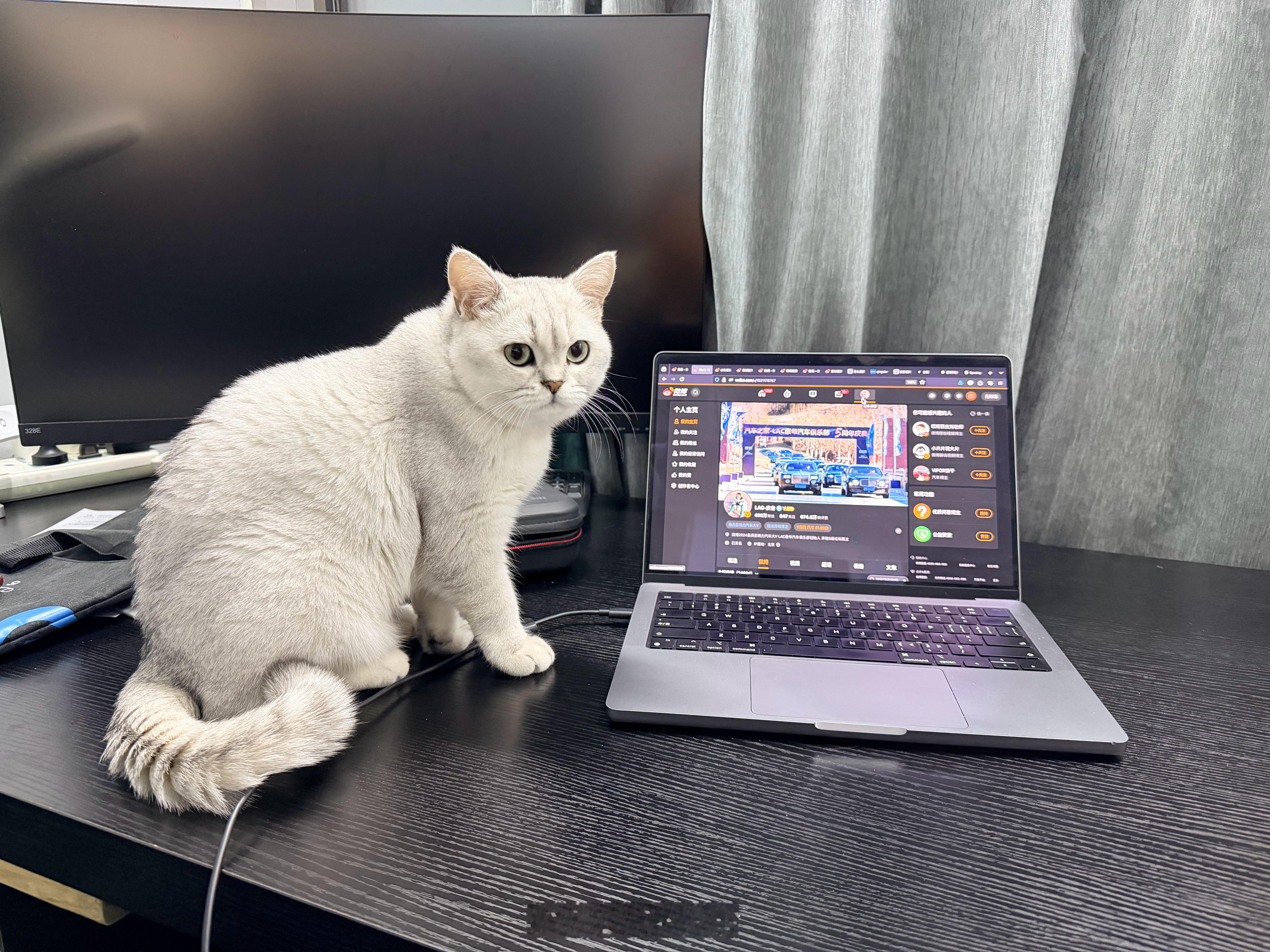 难道猫也存在异性相吸吗？ 