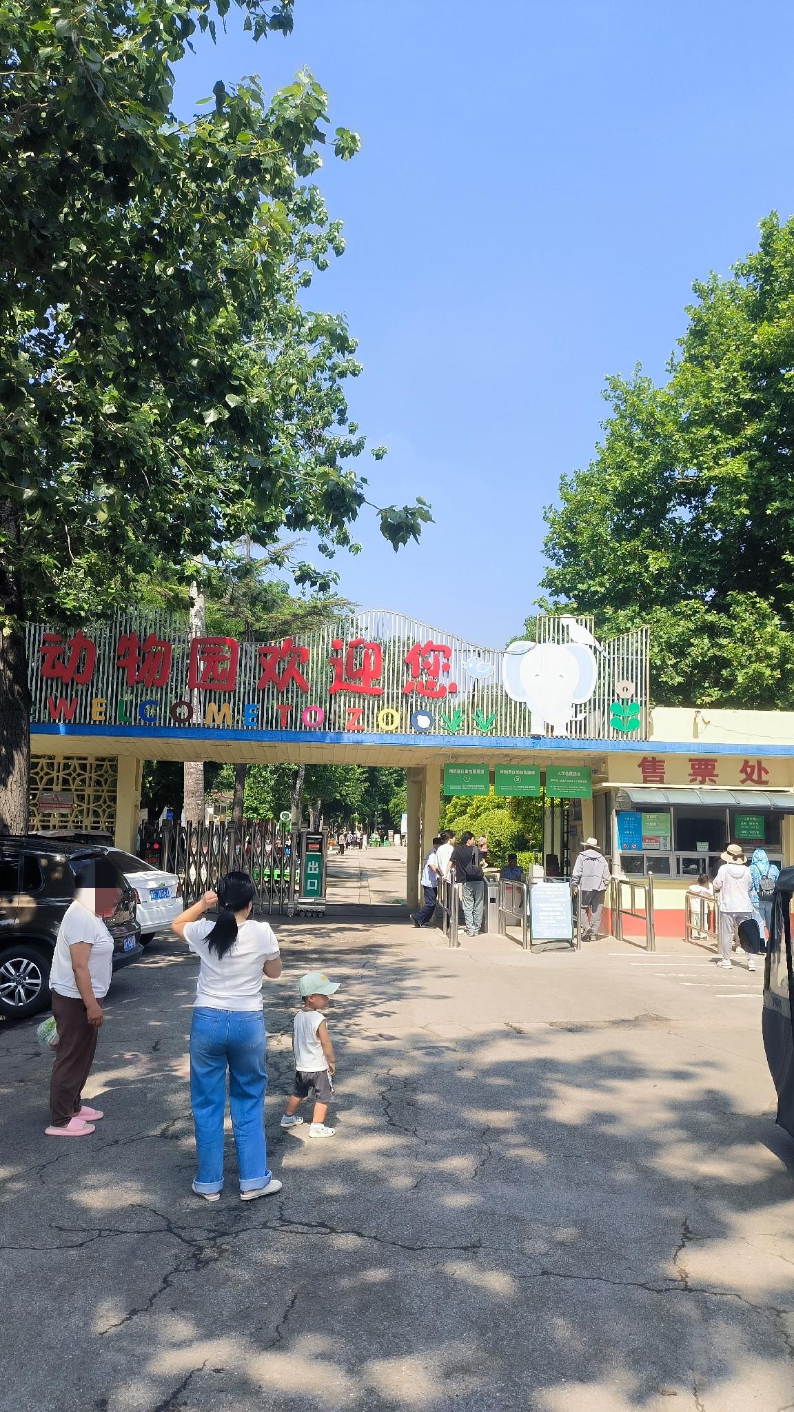 重游保定动物园狮虎馆：一只大老虎的焦躁与一个中年人的恶作剧

周日重游了十几年不