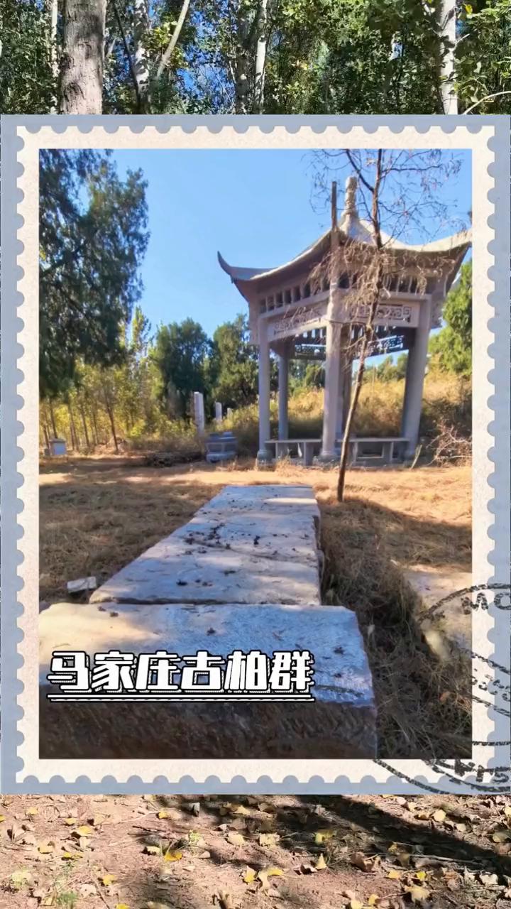马家庄古柏群。