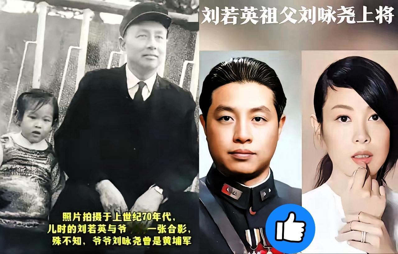 刘若英怕是真没想到
唱了几十年《后来》没带火的家族故事，却被一部

《沉默的荣耀