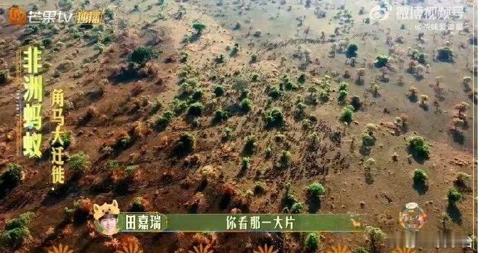 大胆开麦热气球是整季最佳  花儿与少年  周雨彤的惊喜制造，宋茜的知识分享，让热