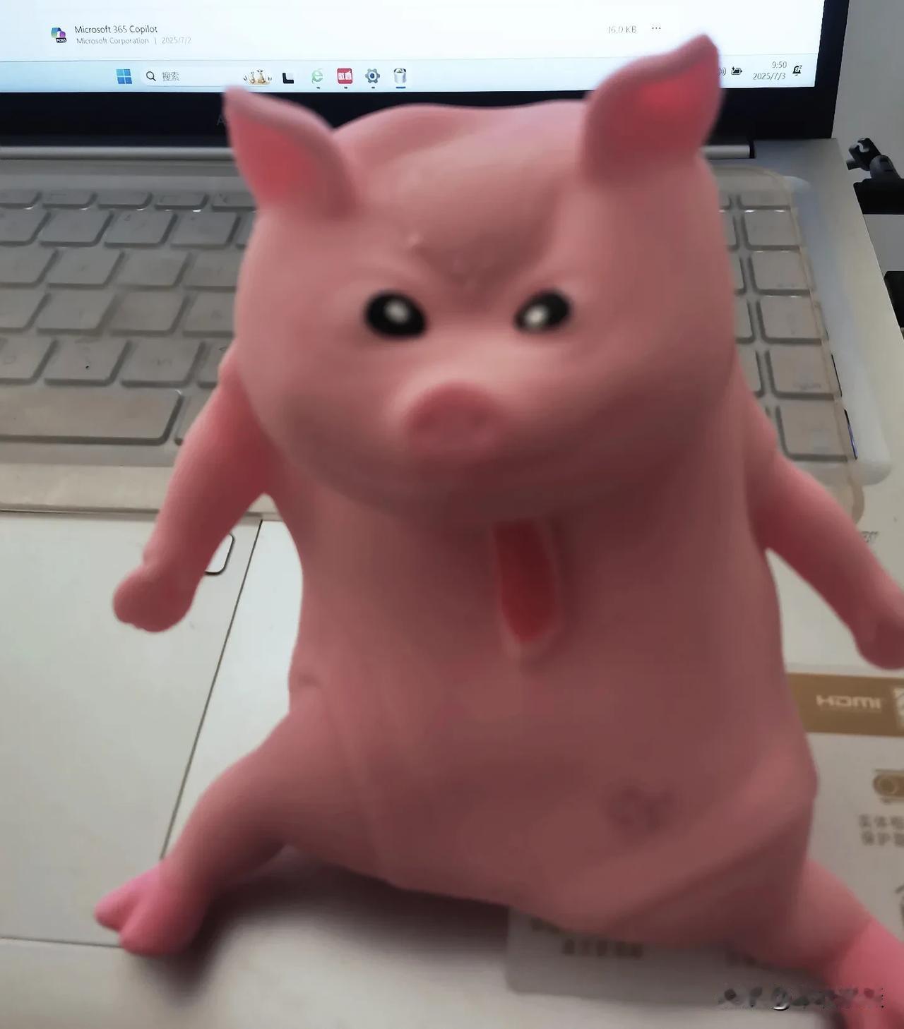 合肥一中回来了，合肥六中也回来了。
合肥九中去年就回来了。合肥四中啥时候回来！明