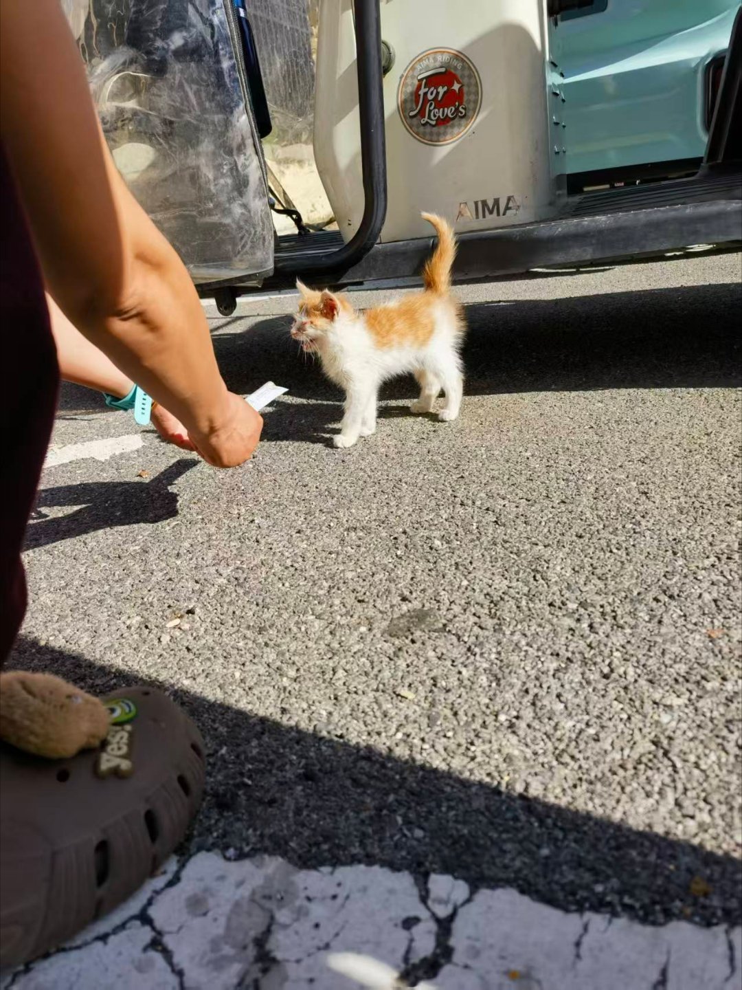 *碎碎念*昨儿肥牛牛油火锅，今儿继续～素火锅...午餐肉，小小一盒170克居然有