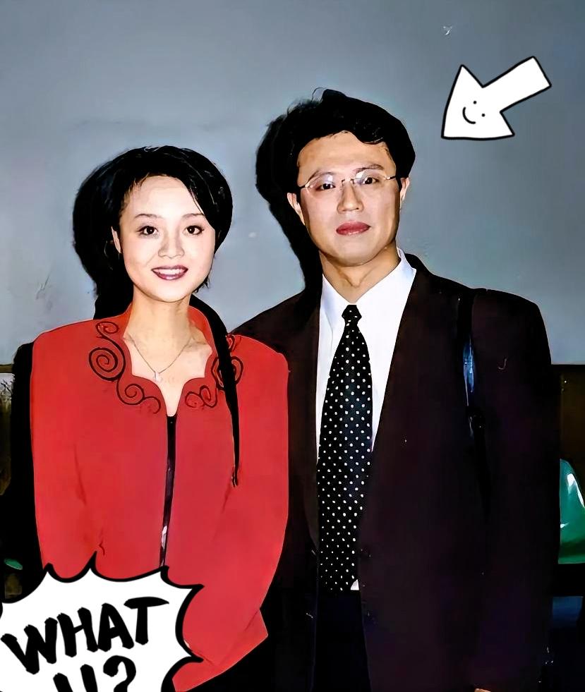 央视名嘴白燕升刚结婚九个月，妻子下车时不慎摔成重伤终身瘫痪。为了不拖累丈夫，妻子
