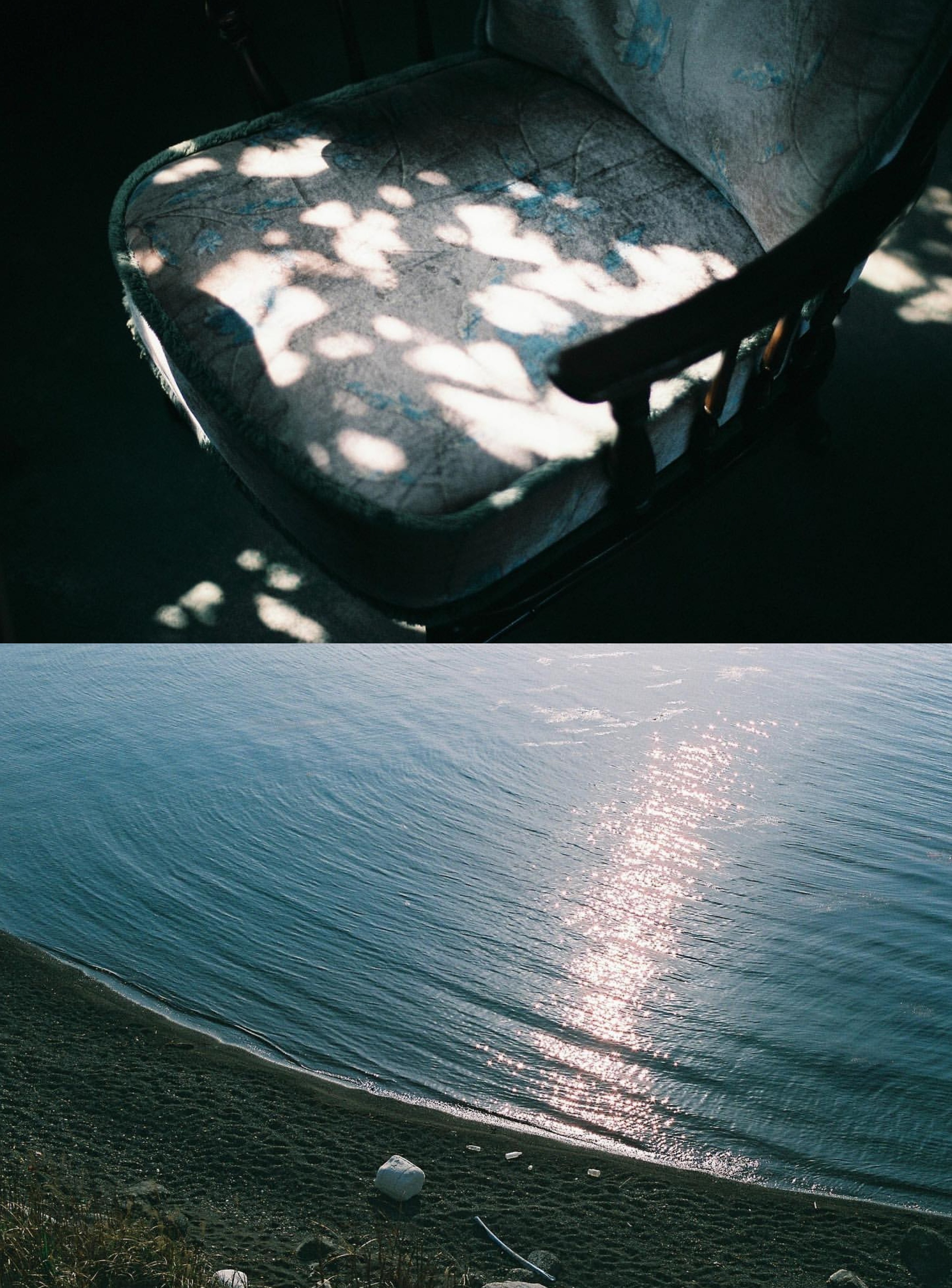 🎞️胶片日记摄影/ fall 